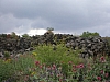 sicile 2008 372.jpg